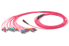 24-MTP-MTO-Fanout-male-elite-Cable