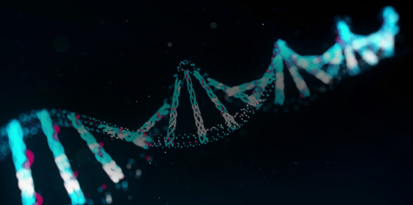neutrik-dna.jpg
