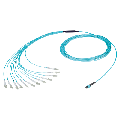 Breakout Cable -NKOB12M-A-0-1